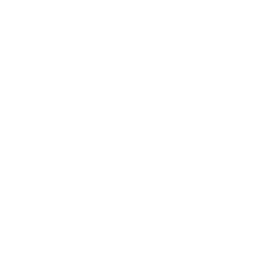Everest Group